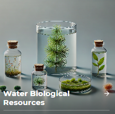 Water Biological Resources